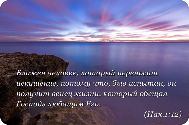 Цитаты господа о любви Цитаты господа о любви
