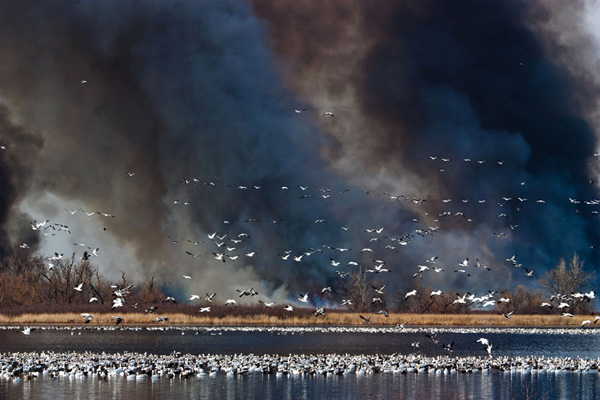 tornado-molniyami-ohotnik-krasivye-fotografii-neobychnye-fotografii