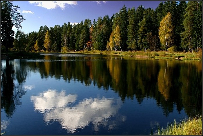 Лесное озеро презентация