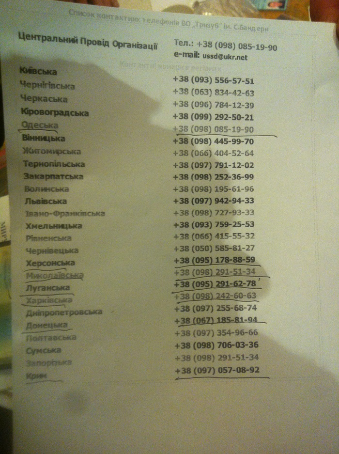 Ополчением задержан наркоман-диверсант из фашистского КУН (ФОТО) Ополчением задержан наркоман-диверсант из фашистского КУН (ФОТО)