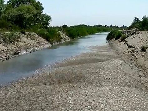 Фото: Северо-Кавказское ТУ Росрыболовства. Рыба гибнет из-за недостатка воды