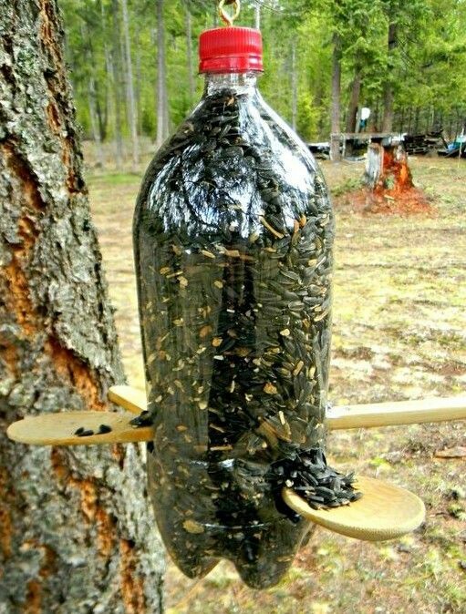 Пластиковые бутылки на даче pinterest, дача, пластиковые бутылки, длиннопост