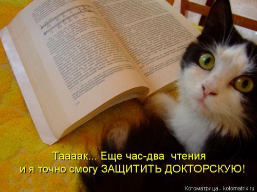 Котоматрицы, которые скрасят улыбкой ваш сегодняшний день!