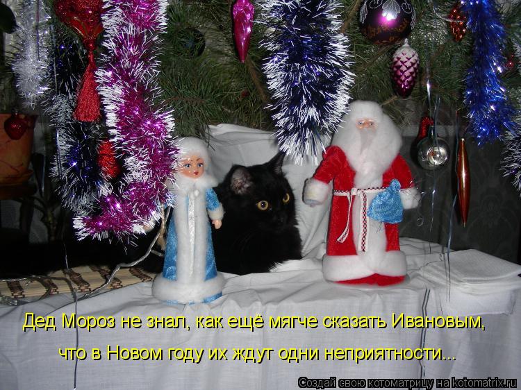 Котоматрица: Дед Мороз не знал, как ещё мягче сказать Ивановым, что в Новом году их ждут одни неприятности...
