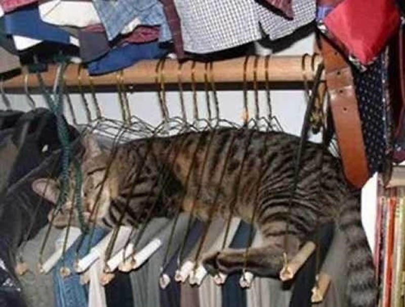 186         