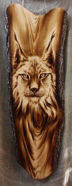 красота, фото, интересное