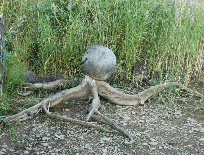 интересное, фото