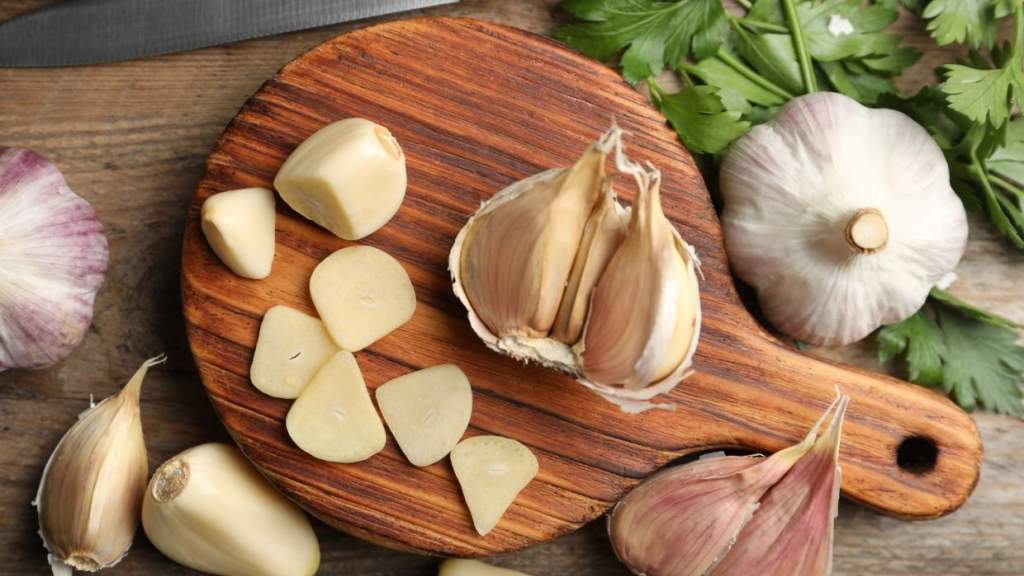 Чеснок: польза и вред для организма мужчин, женщин, противопоказания