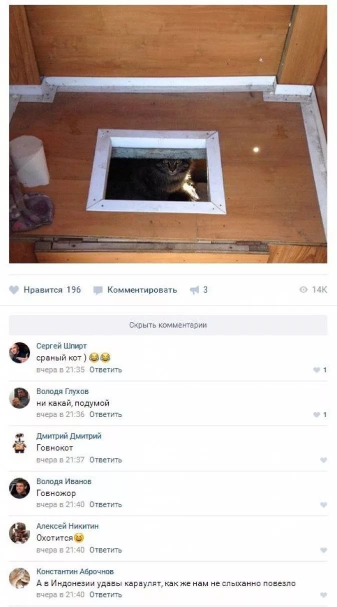Приколы из соцсетей в забавных скриншотах Приколы из соцсетей в забавных скриншотах