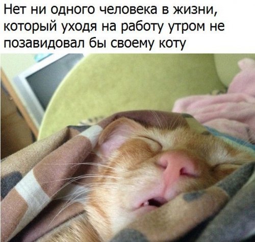 Смешные короткие анекдоты (12 шт) Смешные короткие анекдоты (12 шт)