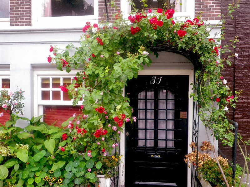 ���������� � ������ ����� � ���: ����� � �����