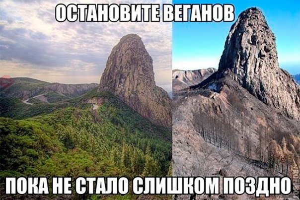 Очередная порция картинок с подписями Очередная порция картинок с подписями