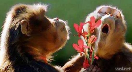 вас хотел...