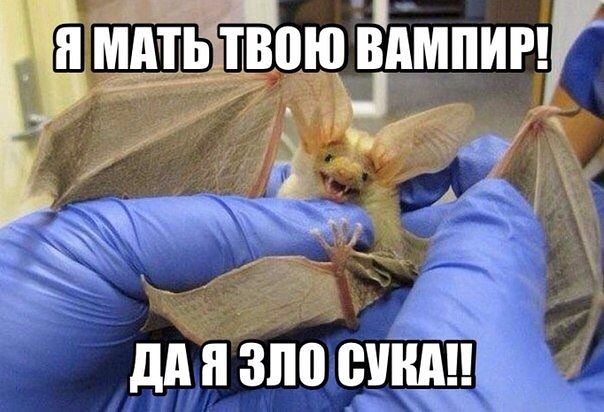    !!!