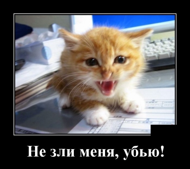 Демотиваторы Демотиваторы