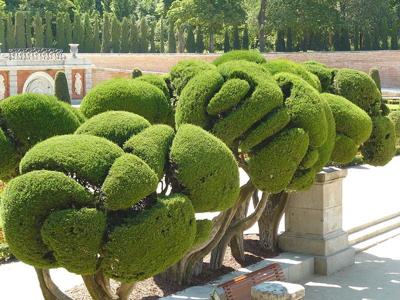 Топиарное искусство (16 фото)
