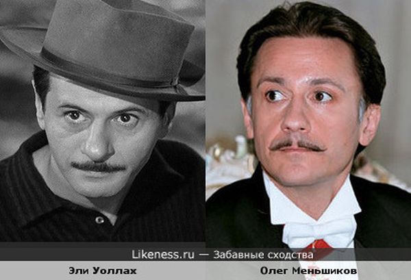 сходства, люди