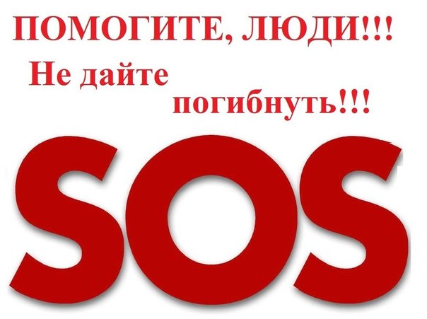 Принято чудовищное решение Принято чудовищное решение