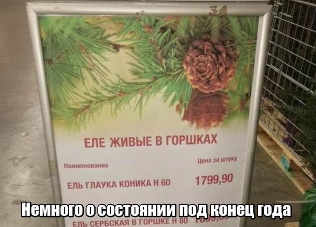 Подборка картинок Подборка картинок