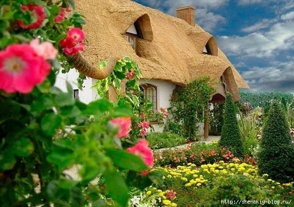 qrUopp-34t8 (604x426, 206Kb)