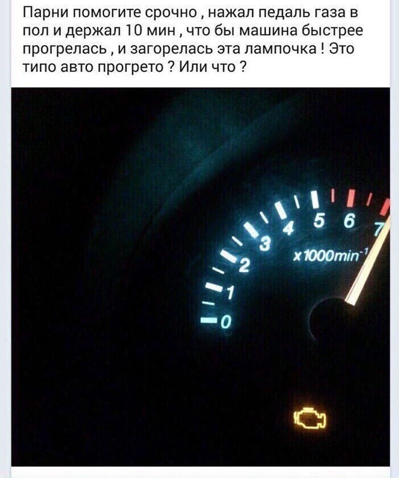 Мы не глупые, мы альтернативно одаренные! Мы не глупые, мы альтернативно одаренные!