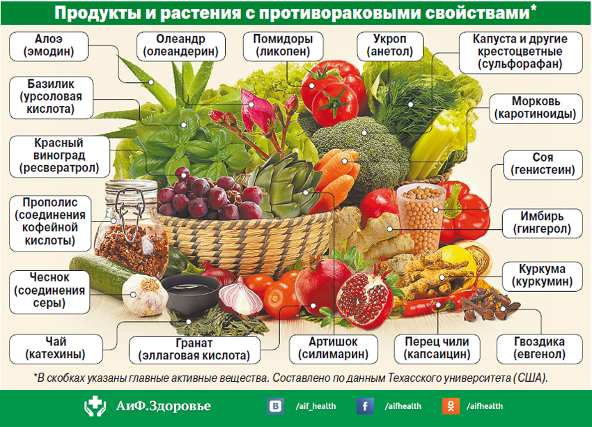 Еда будет лекарством. Какие продукты обладают противораковыми свойствами? Еда будет лекарством. Какие продукты обладают противораковыми свойствами?