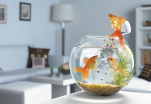 7 секретов успеха от Рэнди Гейджа