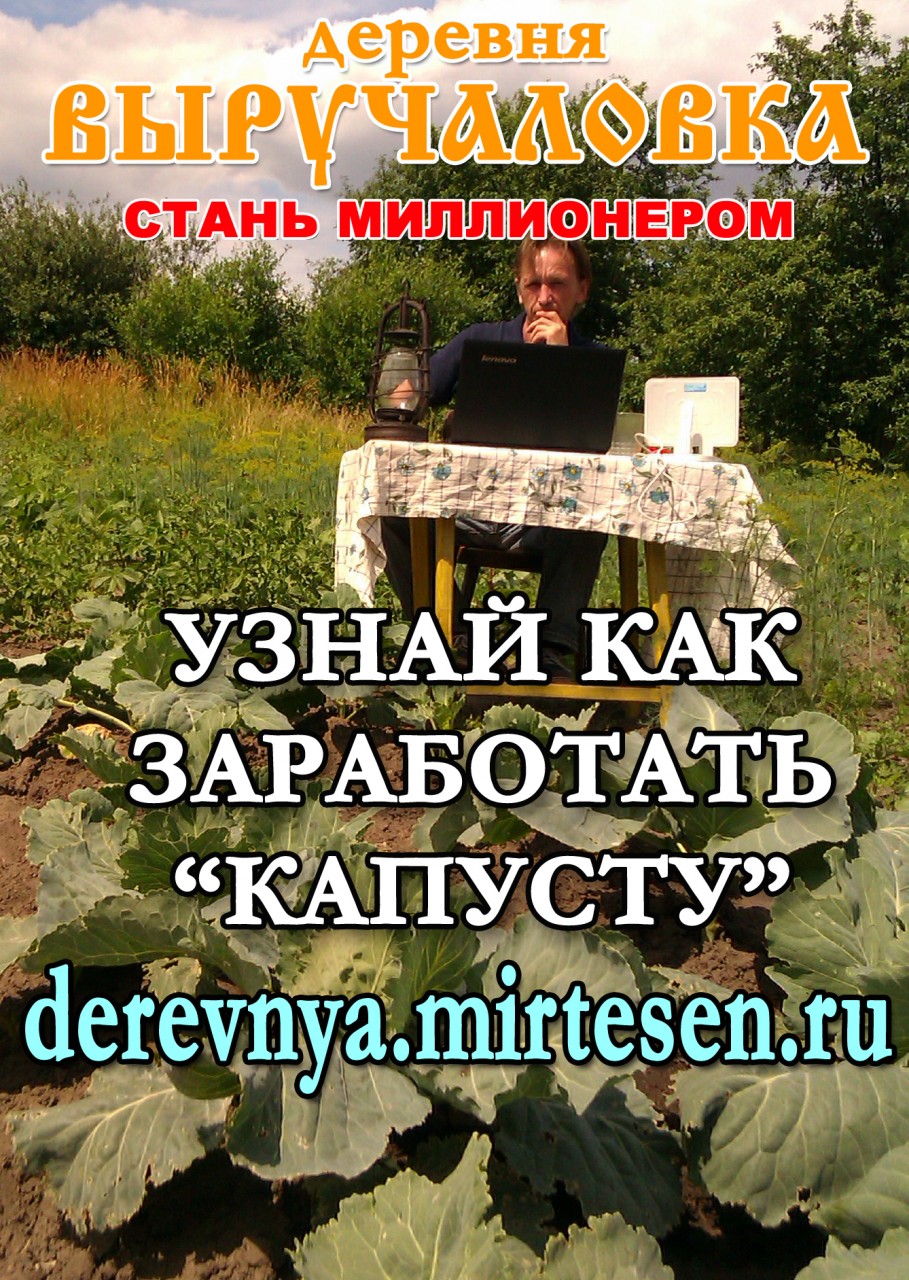 Чем заняться в деревне и заработать Чем заняться в деревне и заработать