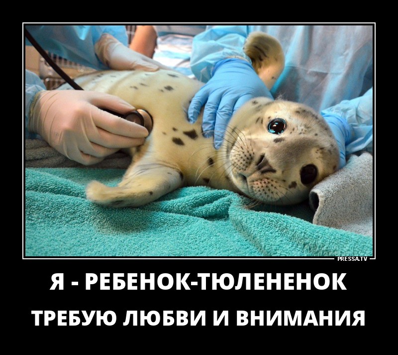 Новые позитивные демотиваторы о жизни Новые позитивные демотиваторы о жизни