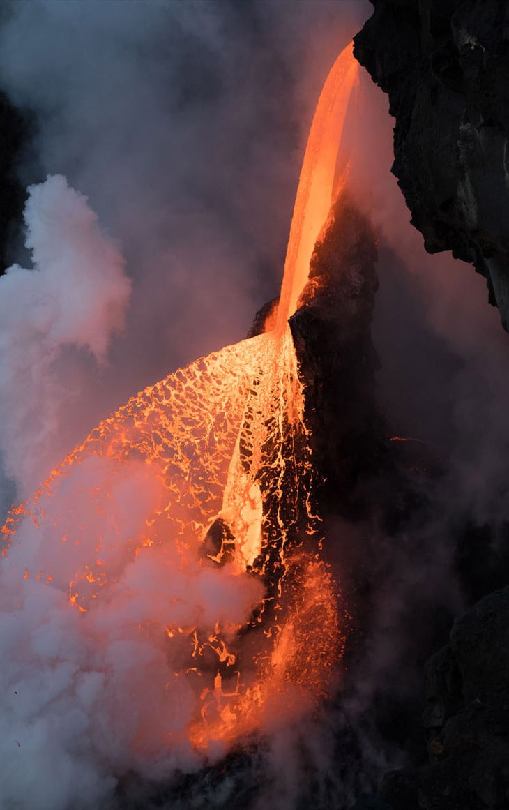 33 fotos, que a revista National Geographic chamou as melhores fotos de vida selvagem de 2017