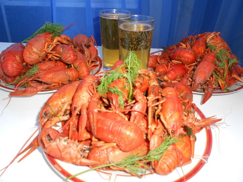 Раки, рыбалка, рецепт, блюдо, кухня