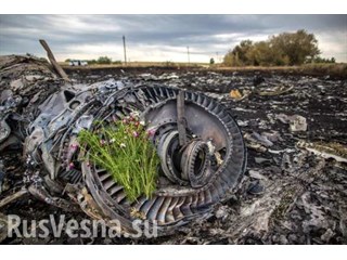 Дело MH17: Неожиданная смена отношения западных политиков к крушению «Боинга» на Донбассе