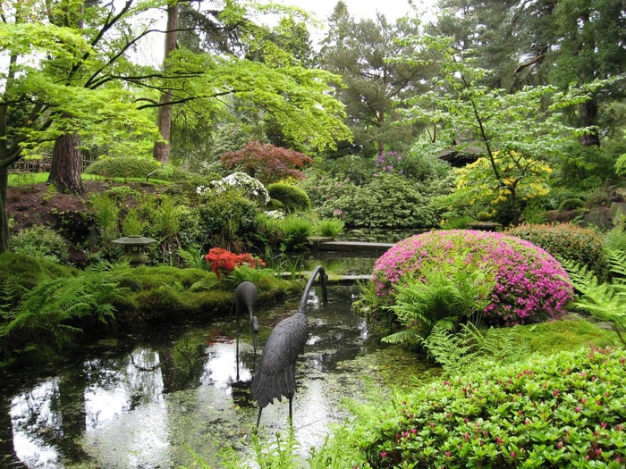 Японский сад (104) (700x525, 391Kb)