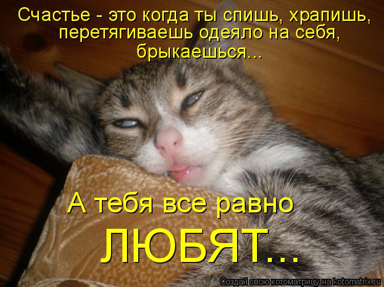 Когда спят домашних условиях Когда спят домашних условиях