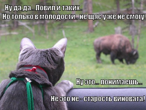 Достойные фразы Достойные фразы