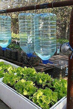 Пластиковые бутылки на даче pinterest, дача, пластиковые бутылки, длиннопост