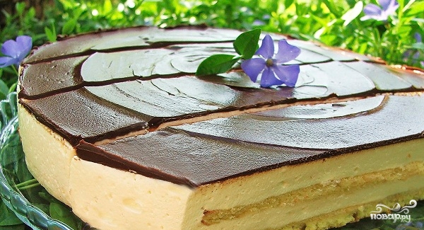 Торт птичье молоко с агаром рецепт