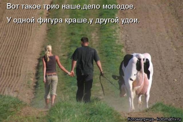 Лучшие котоматрицы за прошедшую неделю)) Лучшие котоматрицы за прошедшую неделю))