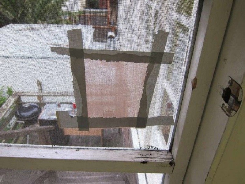 Старые рваные колготки — сокровище! Никогда бы не додумалась Старые рваные колготки — сокровище! Никогда бы не додумалась