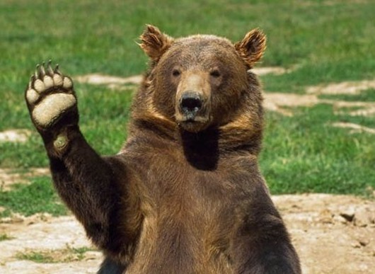 �������������� ������! (��� ��������� ������������ �� ������ � �������!)