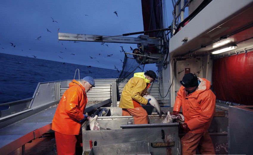 жизнь, цены, правительство