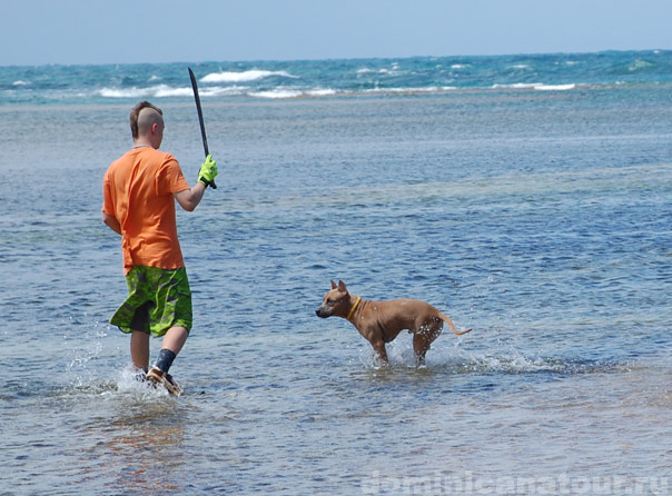 туры в доминикану
