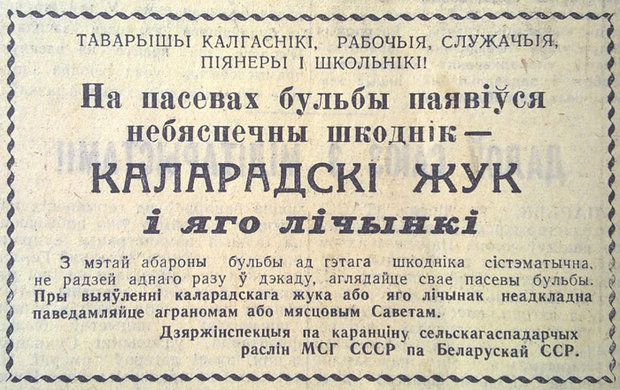 Колорадский жук, как орудие пропаганды