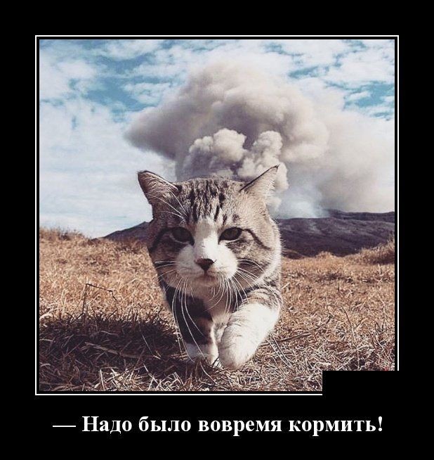 Смешные и веселые демотиваторы для поднятия настроения (10 фото) Смешные и веселые демотиваторы для поднятия настроения (10 фото)