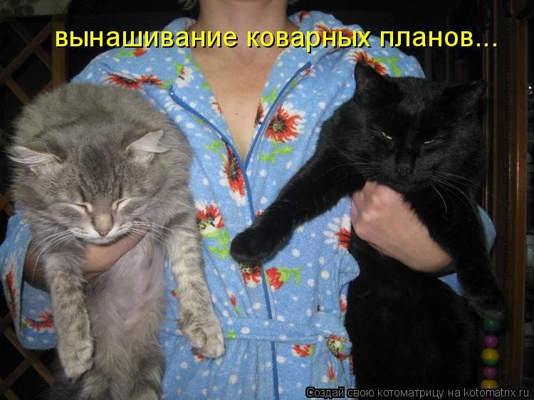  -   ...