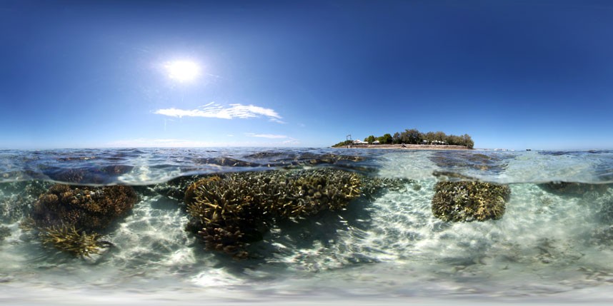 Explore coral reefs 15 Коралловые рифы в фотографиях