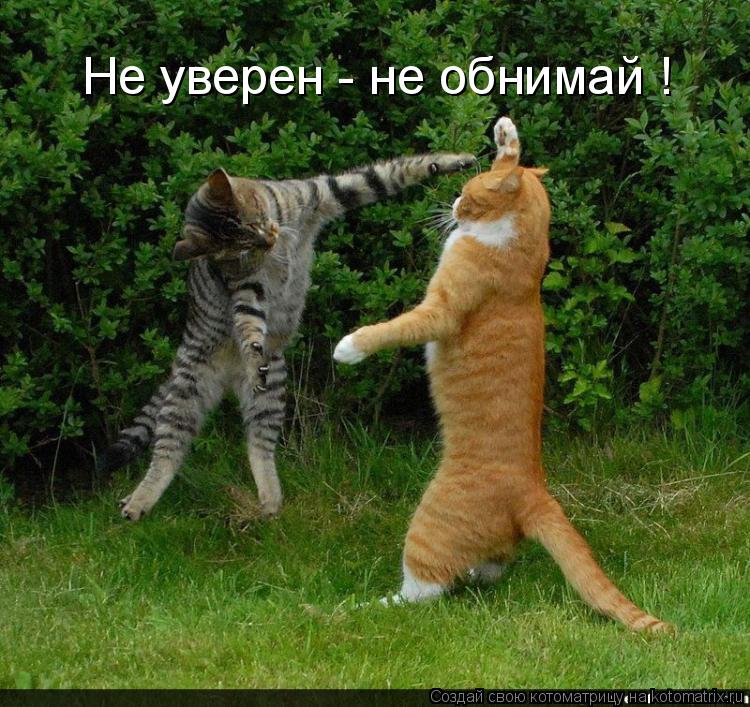 Достойные фразы Достойные фразы