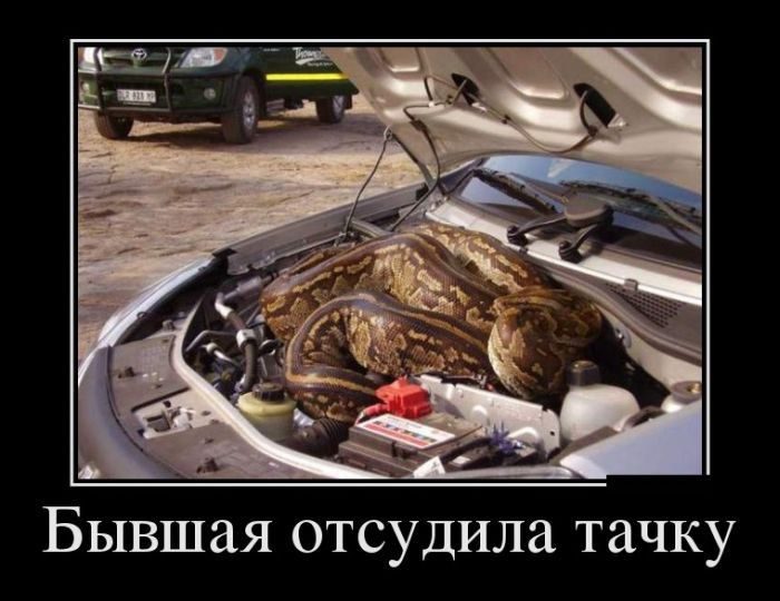 Демотиваторы дня. Супер Демотиваторы дня. Супер