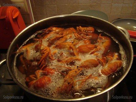 Раки, рыбалка, рецепт, блюдо, кухня