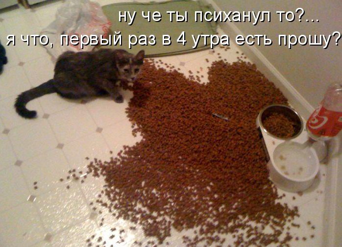 КОТЭ как есть КОТЭ